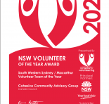 Volunteer of the year certificate